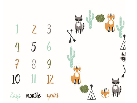 Baby Monthly Milestone Blanket