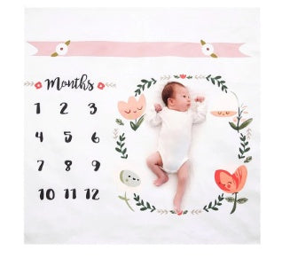 Baby Monthly Milestone Blanket