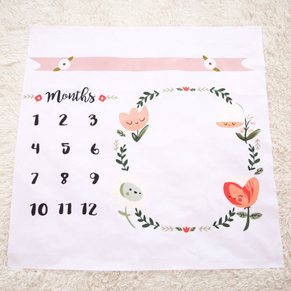 Baby Monthly Milestone Blanket